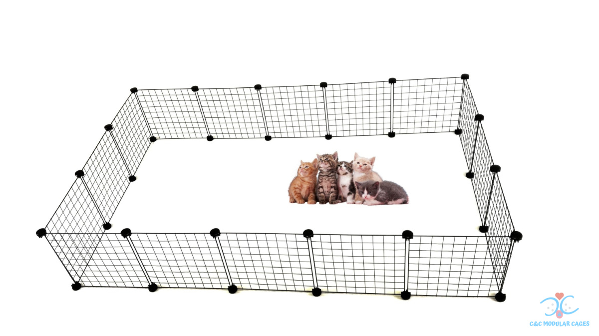 Large kitten pen CandC 5x3 180x110 cm candcmodularcages.eu